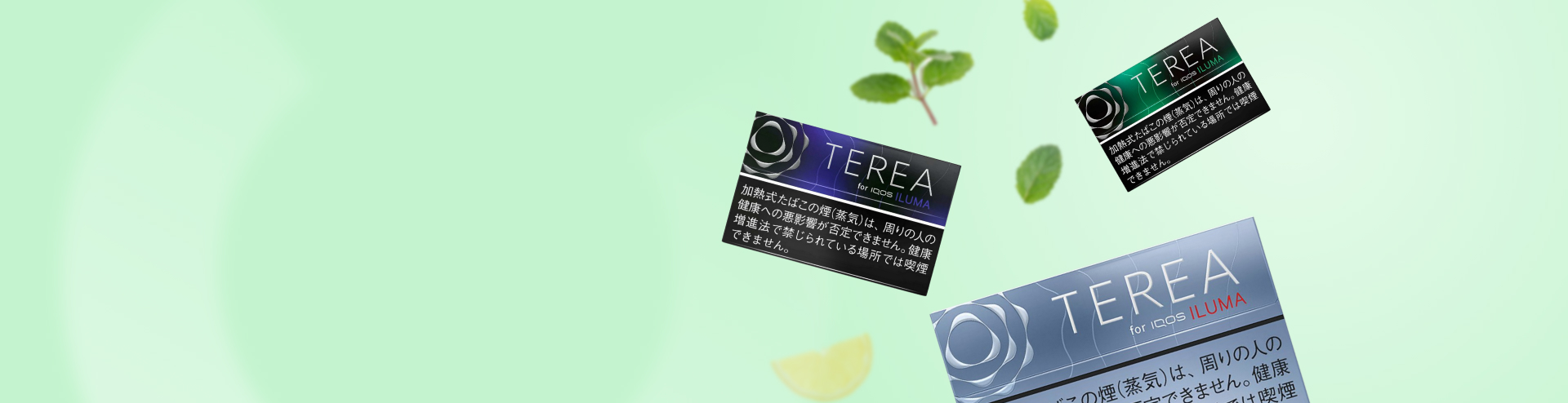 IQOS Heets TEREA from Japan